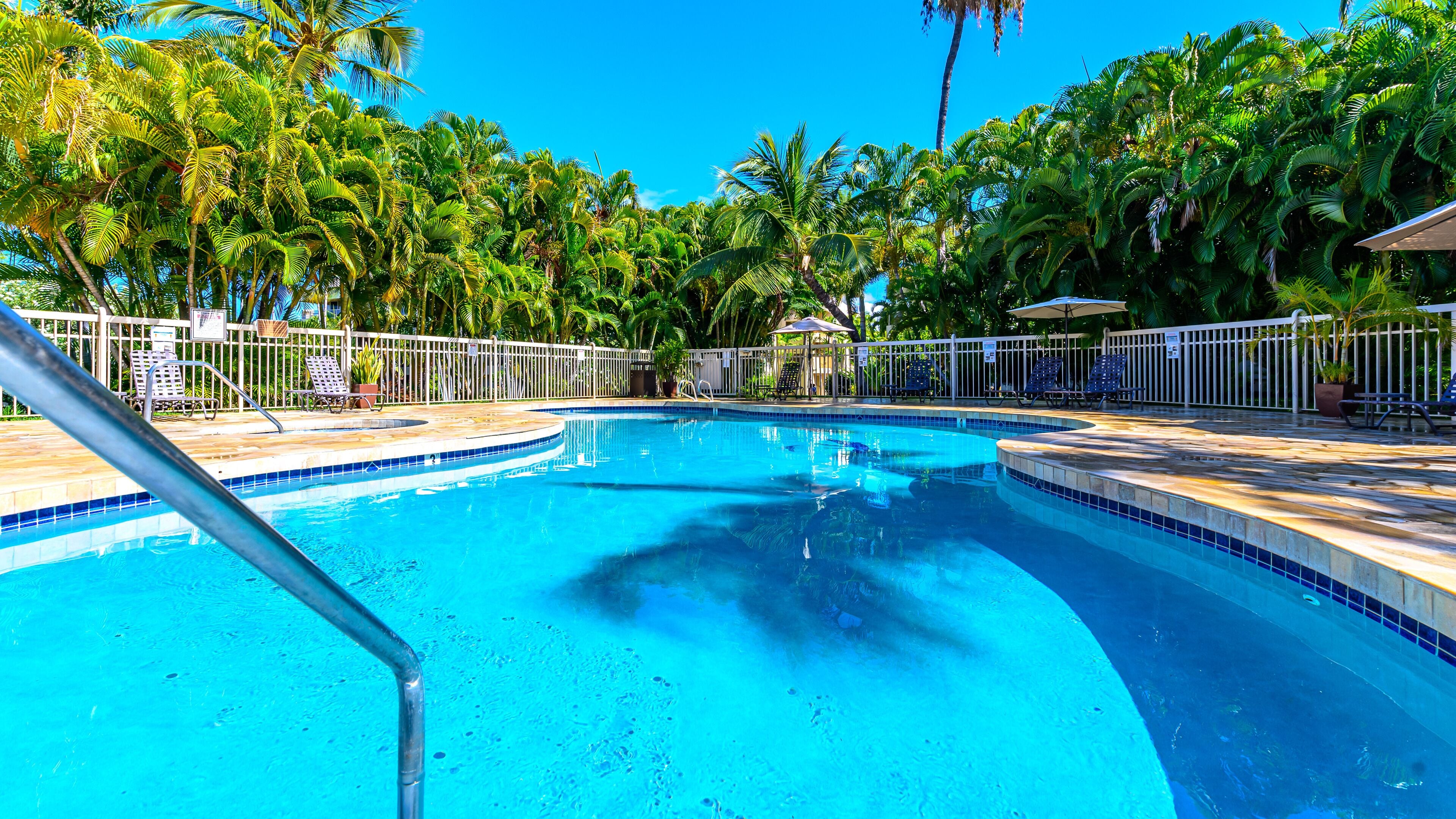 A swimming pool with a tiled edge, surrounded by a white fence and palm trees.