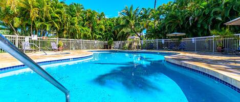 A swimming pool with a tiled edge, surrounded by a white fence and palm trees.