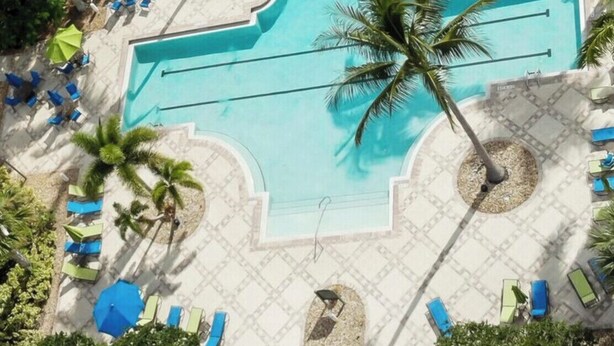 An aerial view of a resort pool area with a large pool, surrounded by lounge chairs and palm trees.
