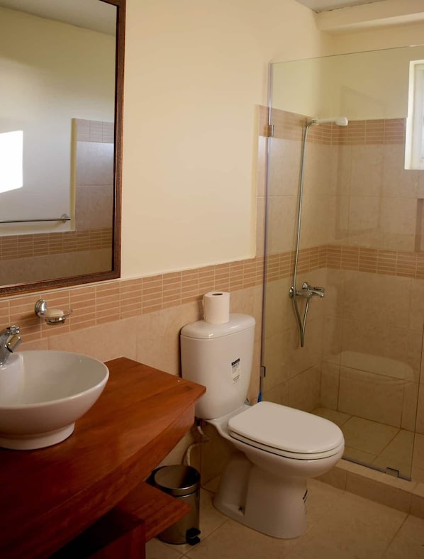 A bathroom with a sink, toilet, and glass-enclosed shower.