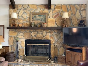 TV, fireplace, books