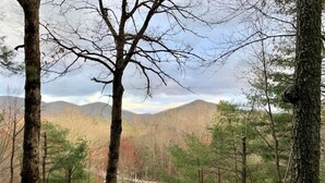 A forested area with a house in the background. - Sky Valley Resort Family Retreat (Sky valley)