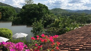 A rooftop garden with terracotta tiles, potted bougainvillea flowers, and a view of lush green hills under a partly cloudy sky. - Iguana Azul - Hostel (Copan Ruinas)