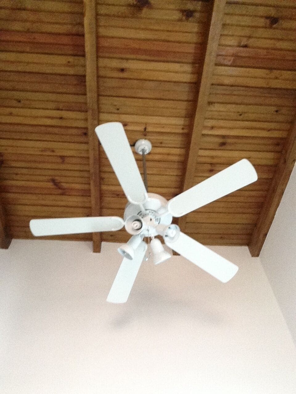 Photo - Hostel Iguana Azul