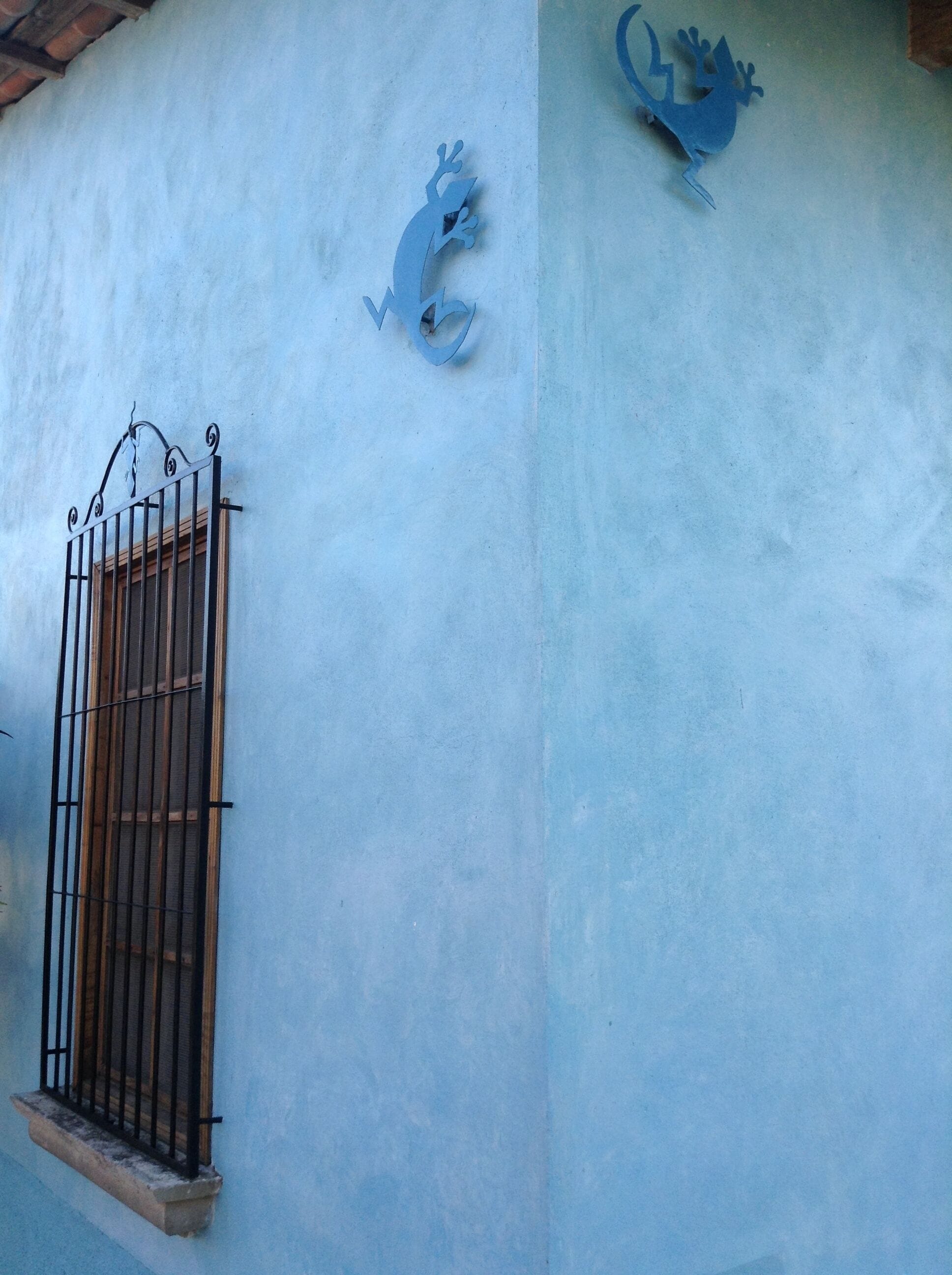 Photo - Hostel Iguana Azul