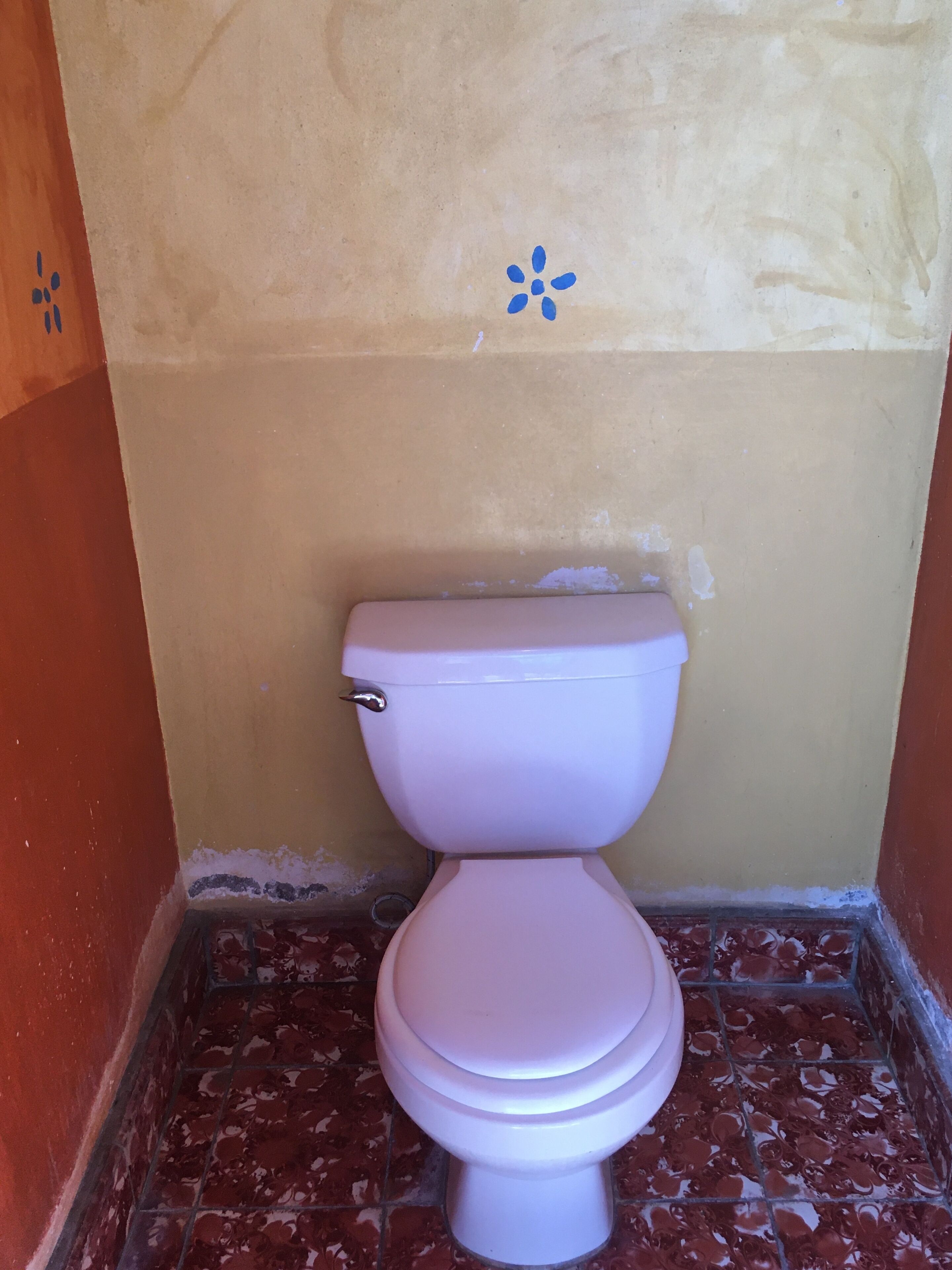 Photo - Hostel Iguana Azul