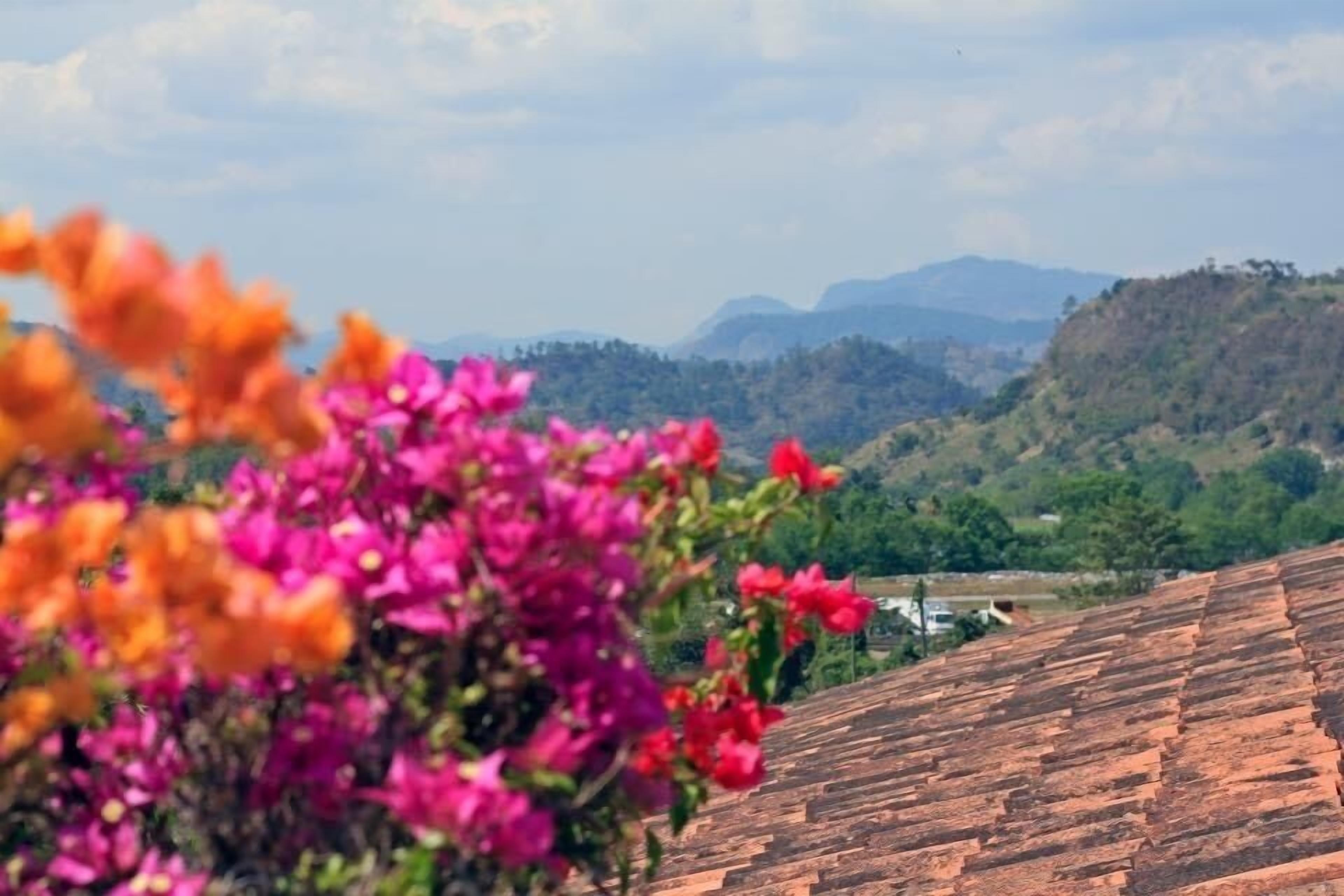 A view of a terracotta-tiled roof with a mountainous landscape in the background.