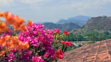 A view of a terracotta-tiled roof with a mountainous landscape in the background.