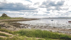 Oklassificerad bild, 5 av 37, knapp