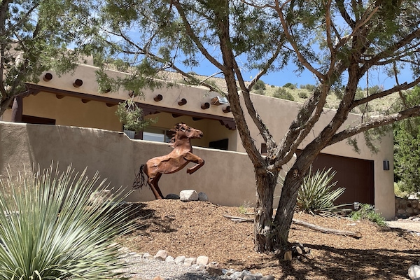 Front of Main House guarded by our Horse "Rocket!"