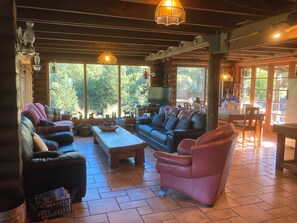 Télévision, cheminée, lecteur de DVD, livres