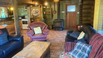 TV, fireplace, DVD player, books