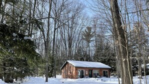 Un piccolo chalet in legno a un piano, circondato da alberi innevati e un cielo sereno.