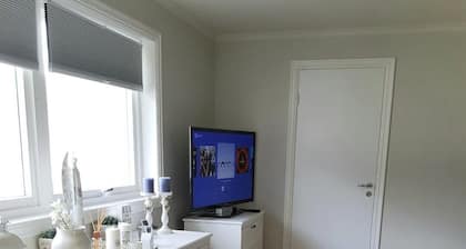 Apartment in Ărsta city center with mountain view