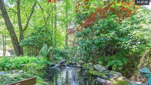 Ein friedlicher Garten mit einem kleinen Teich, umgeben von üppigem Grün und Bäumen.