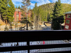 Property grounds - Hip Modern Village Condo- Walk to Village Gondola! (Mammoth Lakes)