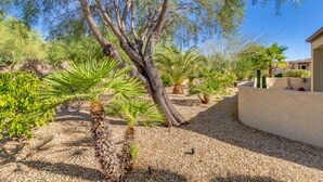 A garden with palm trees, a large tree trunk, and a building in the background. - 3BR w walking trail, 45+ community, patio (Surprise)