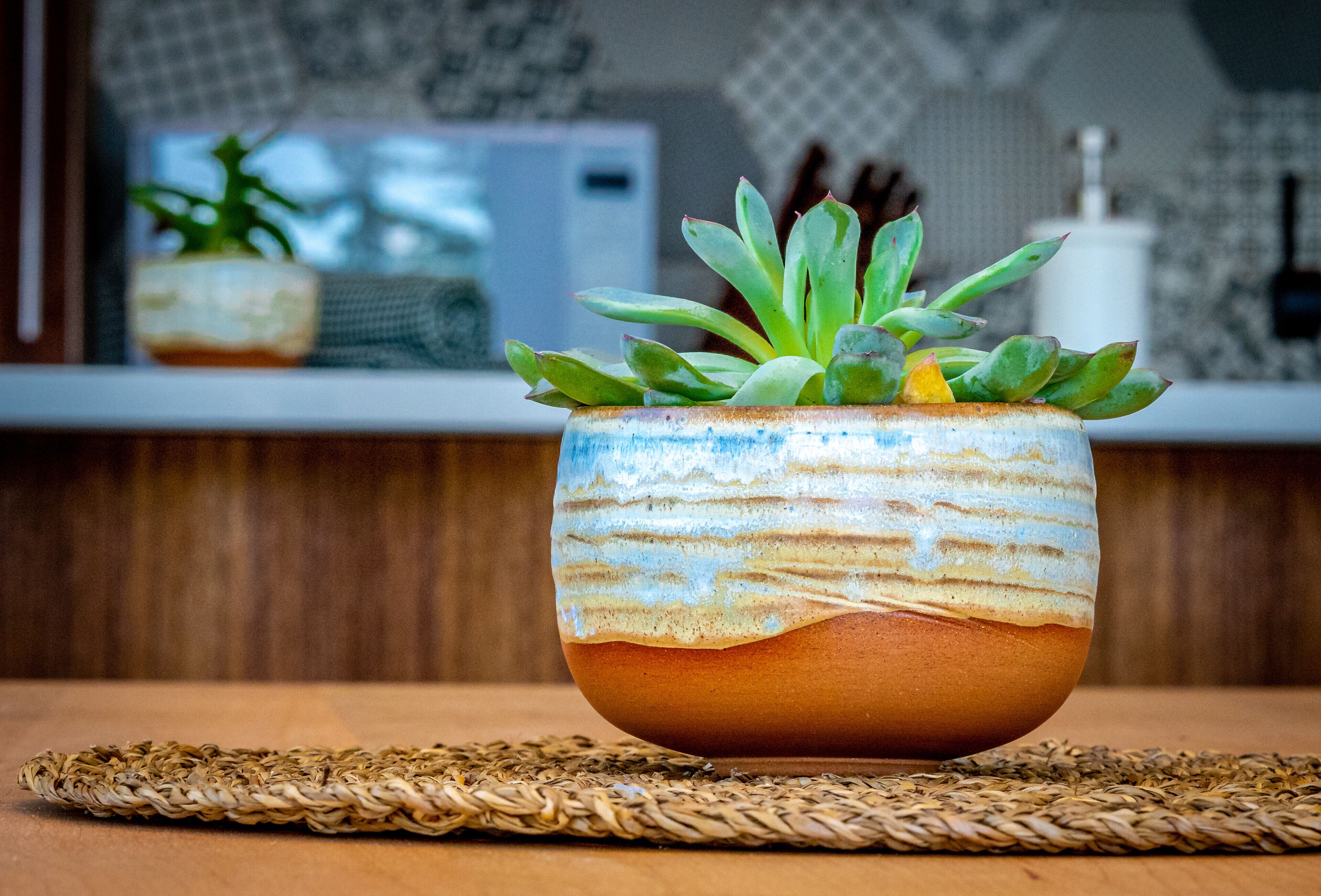 A ceramic pot with a succulent plant on a woven placemat.