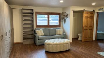 Smart TV, fireplace, DVD player, books