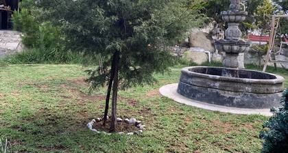 Cabin in the middle of nature