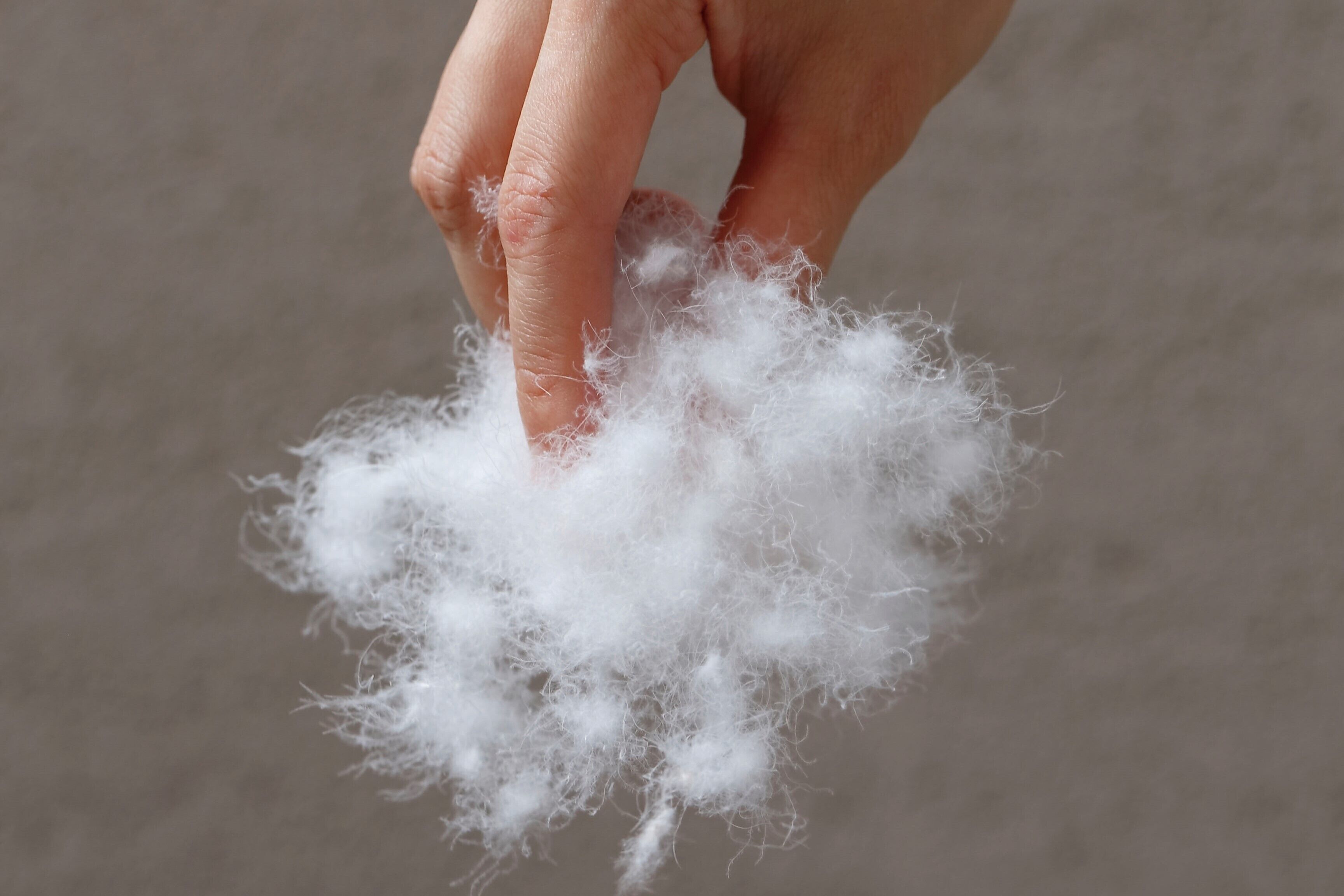 A hand holding a fluffy white material.
