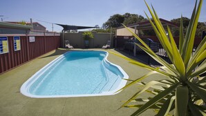 A rectangular swimming pool with a green deck, surrounded by a red fence, and a palm plant in the foreground. - Horsham Country City Motor Inn (Horsham)