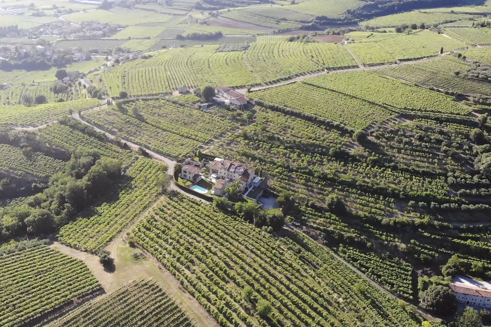 An aerial view of a vineyard with rows of grapevines and a large estate with a swimming pool.