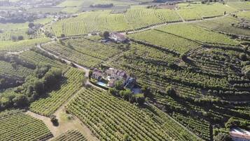 An aerial view of a vineyard with rows of grapevines and a large estate with a swimming pool.