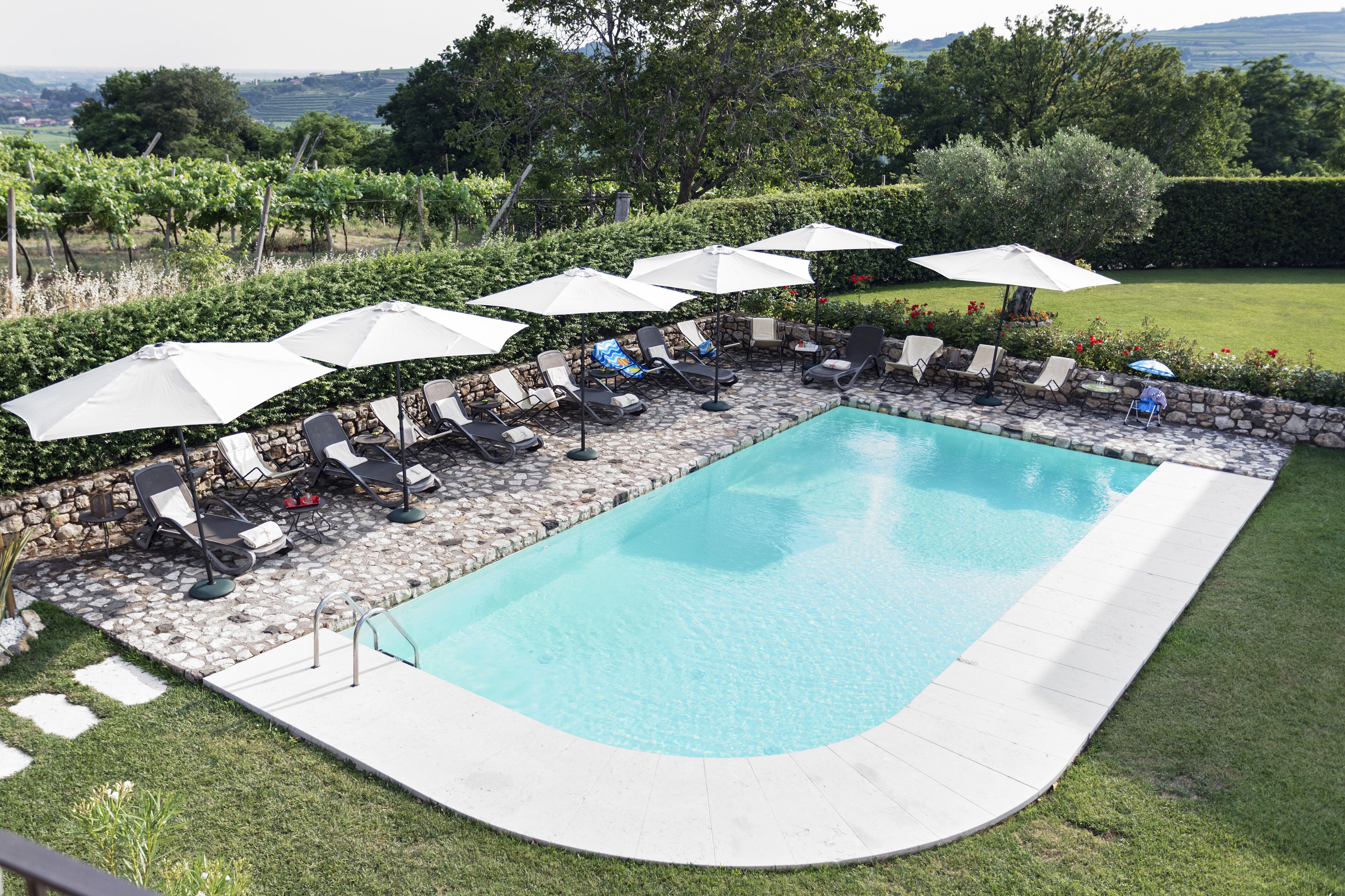 Une piscine entourée d’un mur de pierre et d’une zone herbeuse avec des arbres, agrémentée de chaises longues et de parasols.