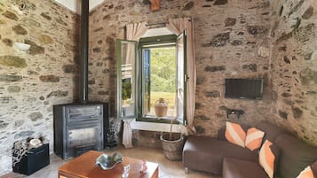 Una televisión, una chimenea