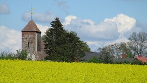 A historic stone church with a bell tower, surrounded by a field of yellow flowers and a large tree. - Vacation apartment "Zum alten Pferdestall" - Somewhere in the middle of nowhere (Zichow)