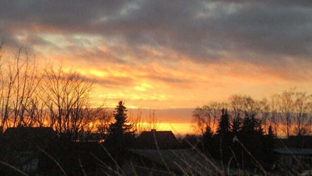 A sunset over a residential area with houses and trees silhouetted against the sky.
