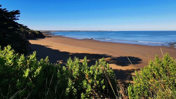 Een strand met heldere lucht, een zandstrand en begroeiing op de voorgrond.