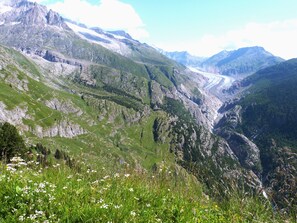 Miscellaneous - c........ rrrrr the facility is not bookable (crodo)