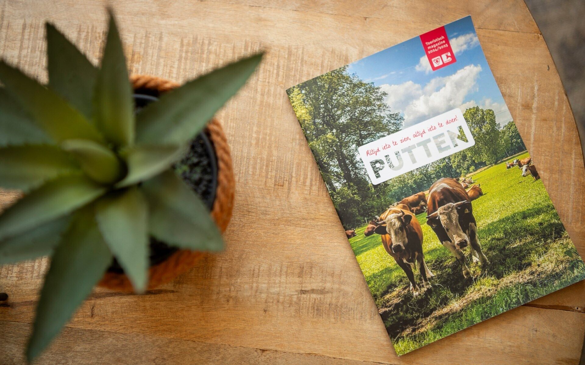 Un livre intitulé « PUTTEN » est posé sur une surface en bois, avec une plante en pot à côté.