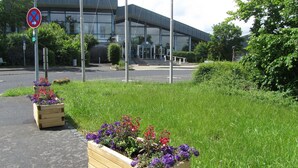 A modern building with large glass windows and a paved entrance area. There are two wooden planters with flowers in front of the building. - Ferienwohnungen an der Therme (Bad Rodach)