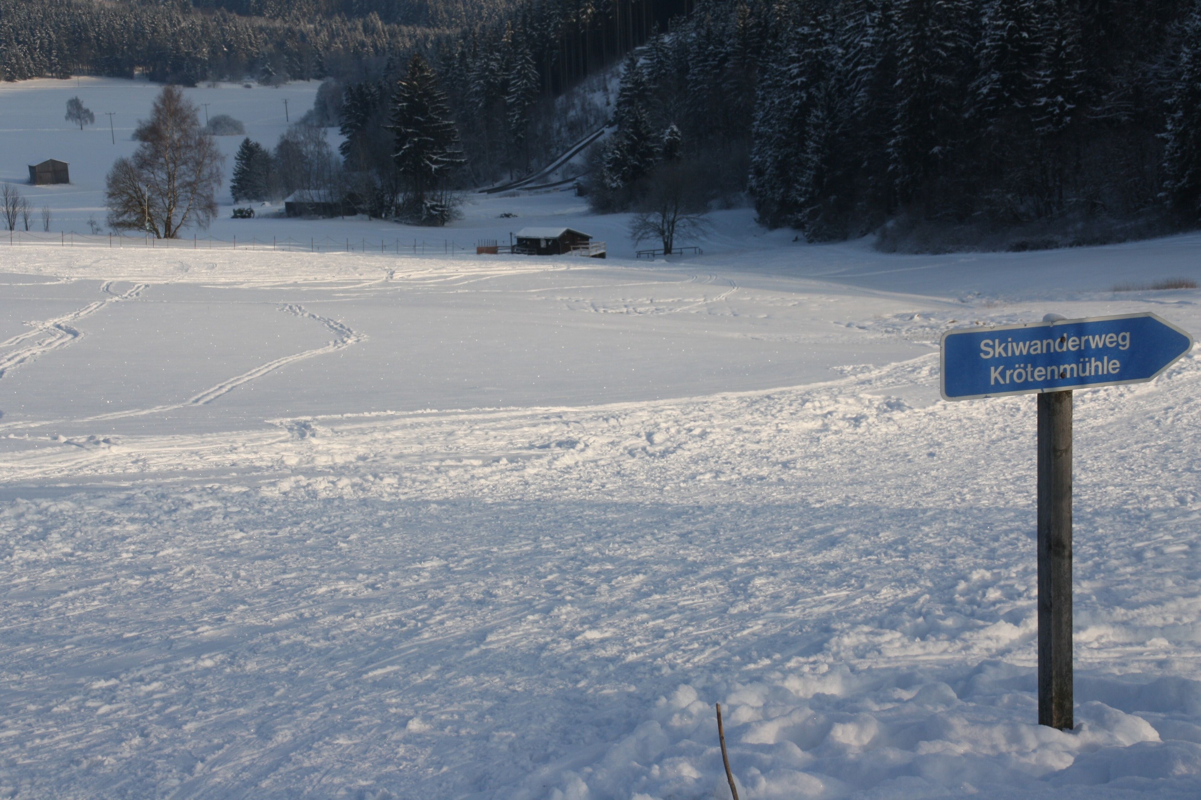 Sukan salji dan ski