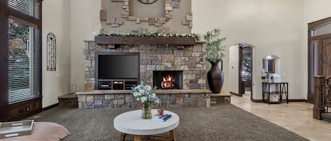 TV, fireplace, video games, books