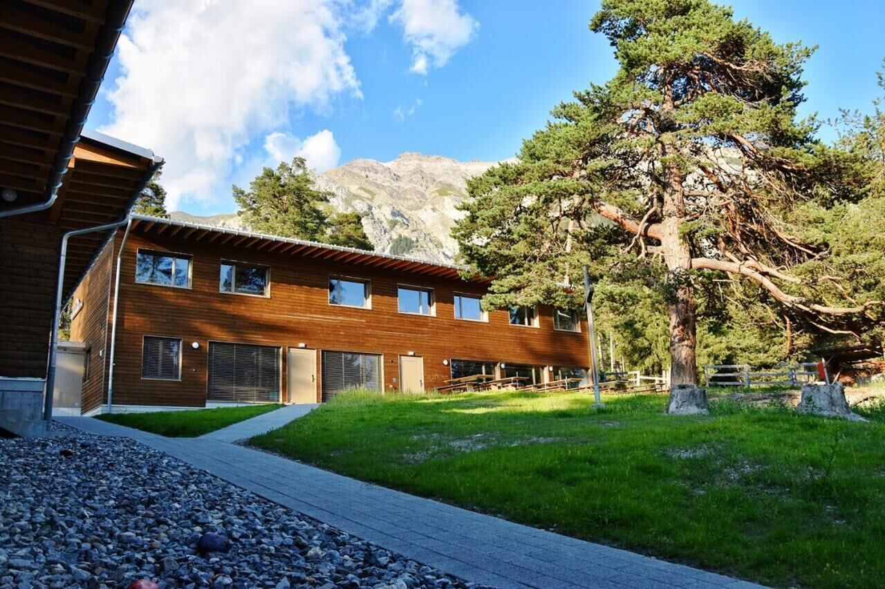 Ein modernes Gebäude mit Holzfassade, großen Fenstern und einer Grünfläche mit einem Baum.