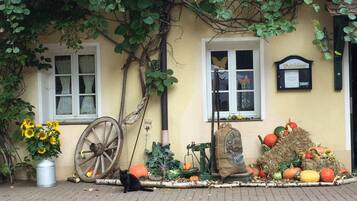 A building with a yellow facade, a large wooden wheel, a cat, and a variety of pumpkins and gourds.