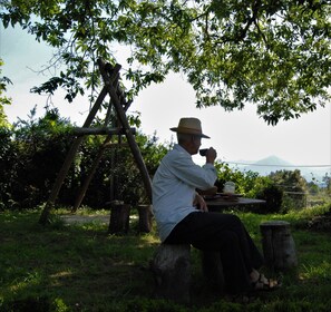 Property grounds - Japanese Suite (Arnoia - Celorico de Basto)