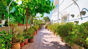 Un sendero bordeado por macetas con plantas y un edificio blanco con una estructura de techo curva.