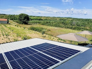 Solar panels on a building's roof with a view of a green landscape and a tree.