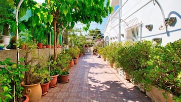 Parco della struttura