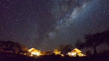 A night scene with two illuminated buildings under a starry sky, surrounded by trees.