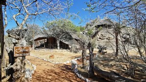 A safari camp with traditional huts, a dirt path, and sparse vegetation. - Ohorongo Tented Camp (Kamanjab)