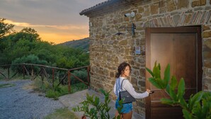 A stone building with a wooden door, surrounded by greenery and a gravel path. - Le Querce Farmhouse (Agropoli)