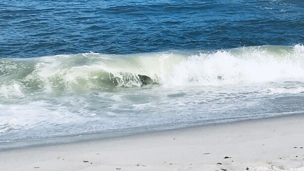 Una playa con olas rompiendo sobre la orilla.