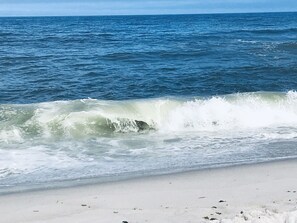 海灘