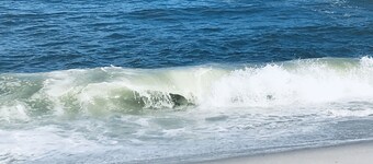 Beautiful Cozy Beach Cottage in Ocean Beach III - 8 houses from the beach!
